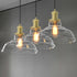 Fortune Classic Vintage Style Glass Pendant Light Clear Dome Lampshade E26