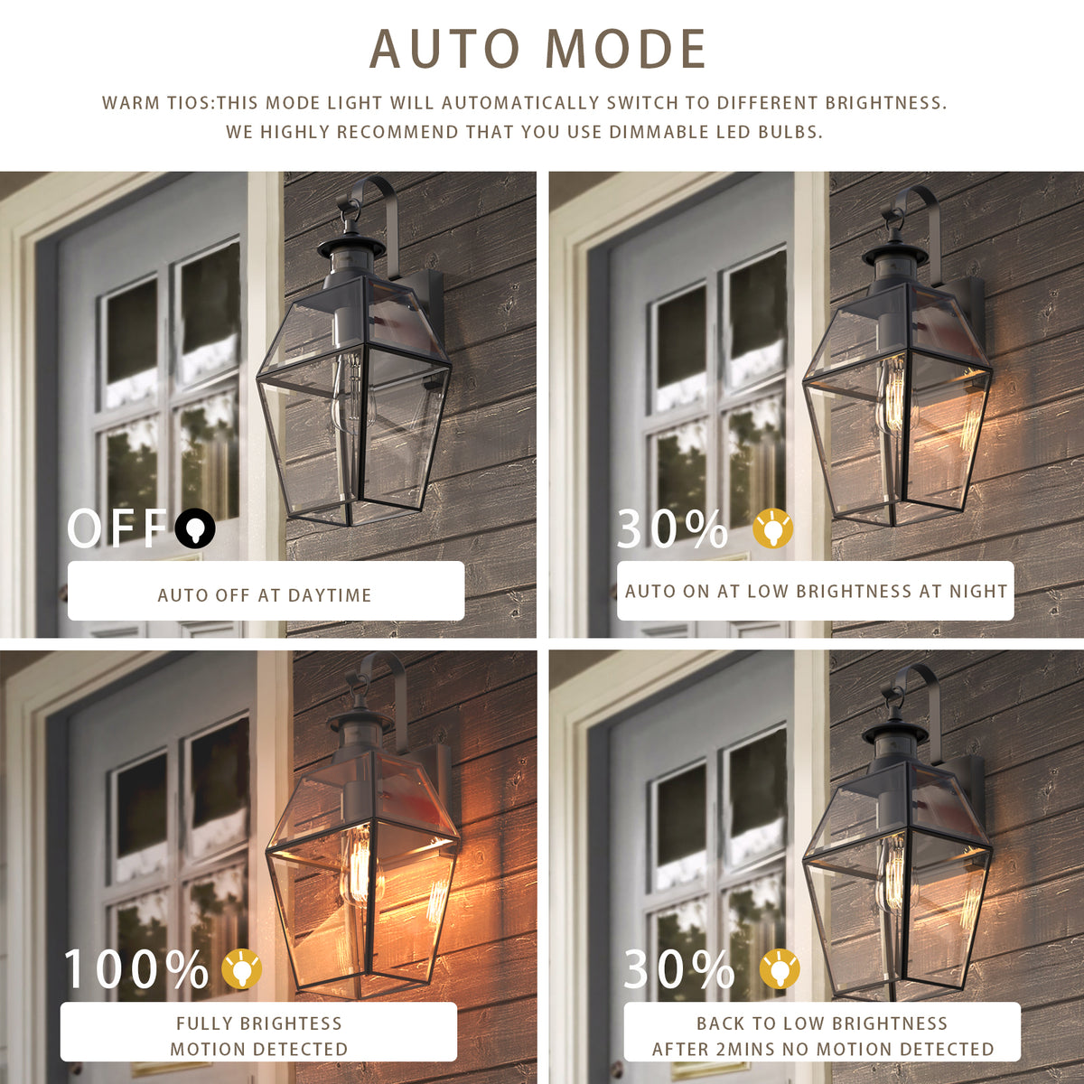 ROSEN Motion Sensor Outdoor Exterior Wall Sconce Glass Matt