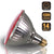 Outdoor 14W Red Color LED Par38 Flood Light Bulb E26 45 degree CRI>80 full glass body - 7Pandas USA Lighting Store