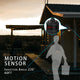 STELLA Motion Sensor Outdoor Exterior Wall Sconce Matt Black E26 IP44 2PACK - 7Pandas USA Lighting Store